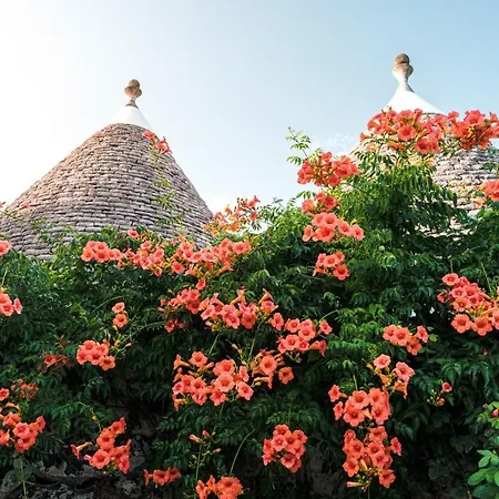 Апартаменты Helloapulia - Trulli Fico D'india